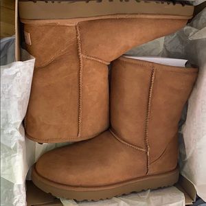 New! Ugg Classic Short II Boot, 9 Medium, Chestnut